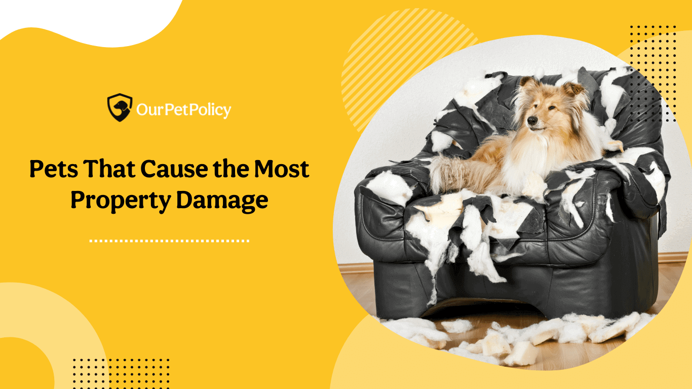 Manage pets and reduce property damage