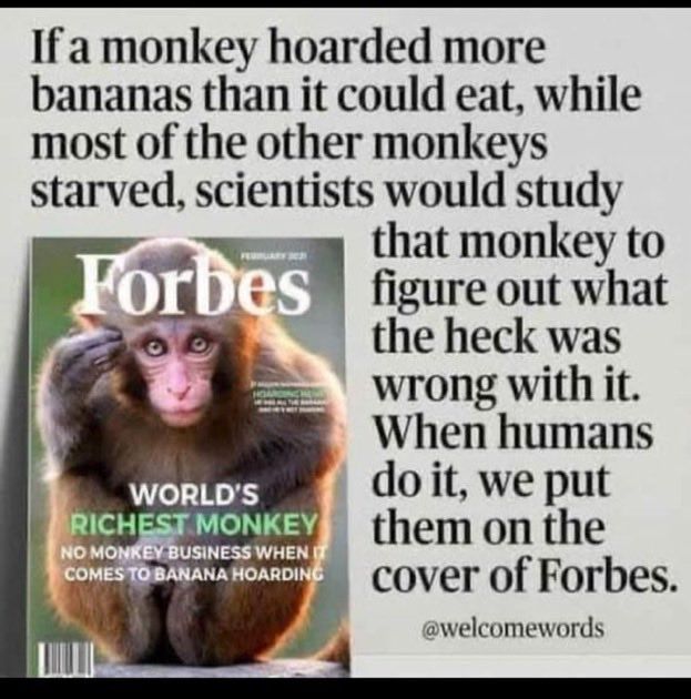 oh my god twitter doesn’t include alt text from images in their API