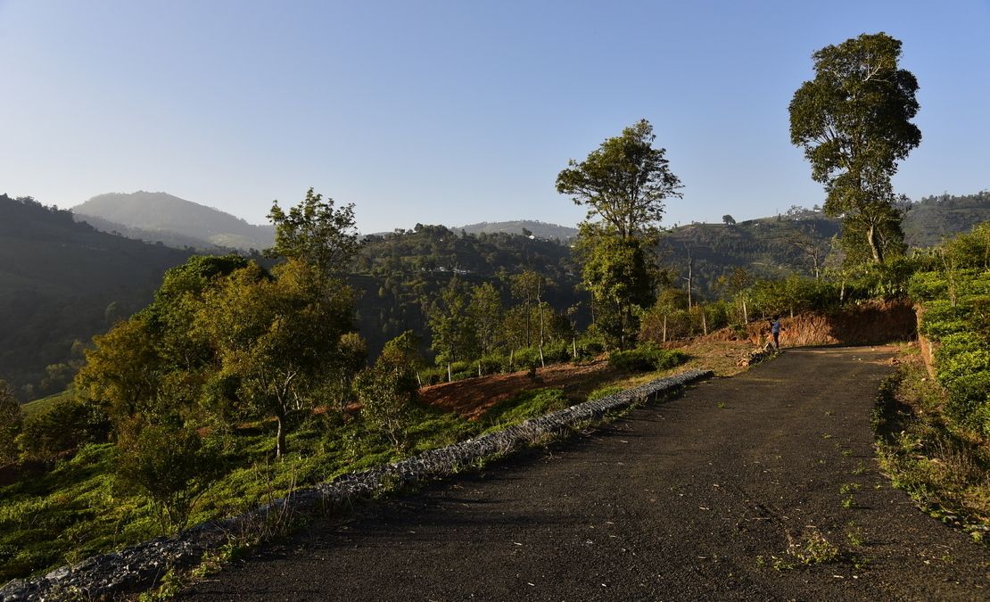Vista Chiaro Plots | Kotagiri, Aravenu, Coonoor