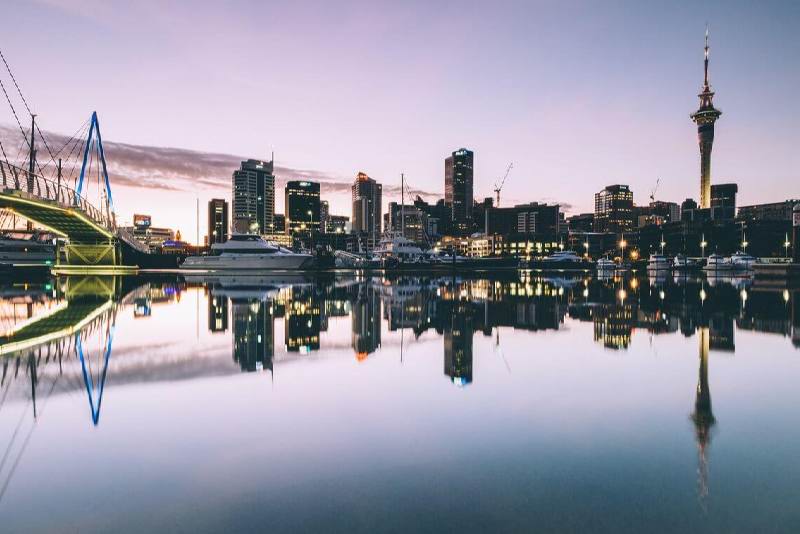 Legalisation of Marijuana in New Zealand