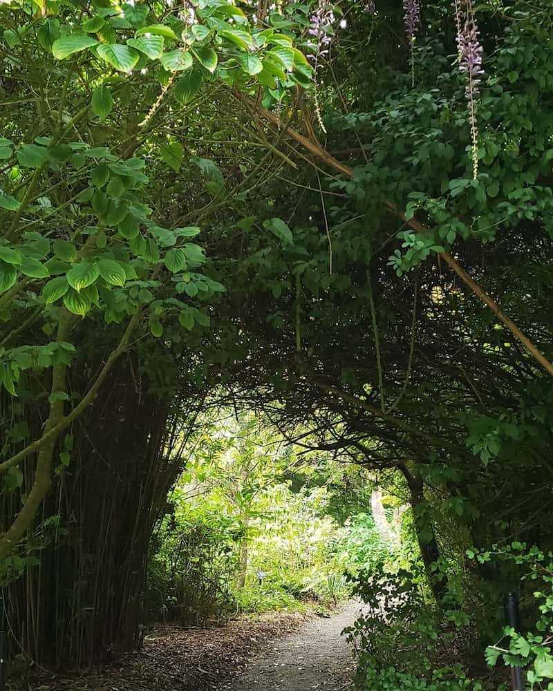 In Bloom San Francisco Botanical Garden Vibemap