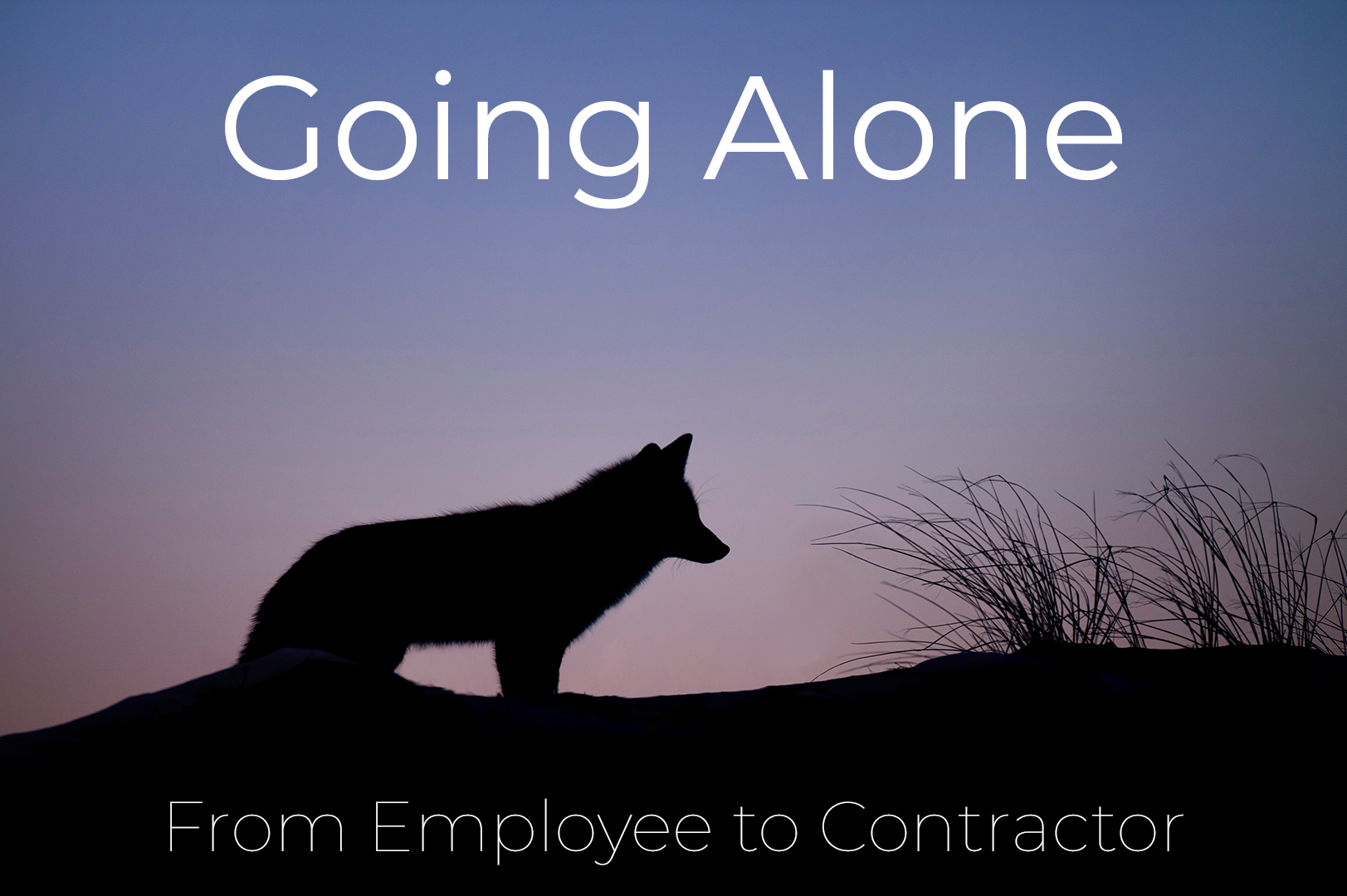 From Employee To Contractor - How I did it cover image