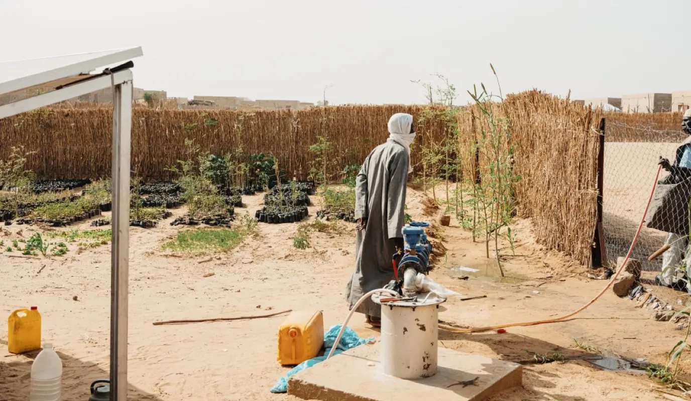 A Concern livelihoods and agriculture project for refugees, displaced persons, and returnees, provides nursery plants, vegetables, mulcher and solar pumps in Diffa, Niger.