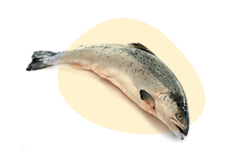 Fish is listed as one of the EU 14 Major Food Allergens, Erudus lets you easily see if a product contains this or any of the allergen ingredients