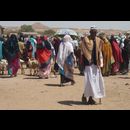 Somalia Animal Market 10