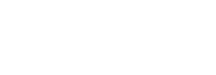 Sentry