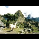Machu Pichu 7