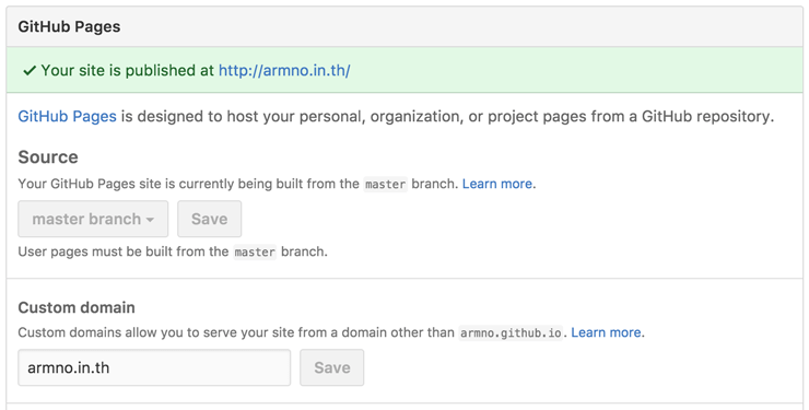 Custom domain settings ของ repo