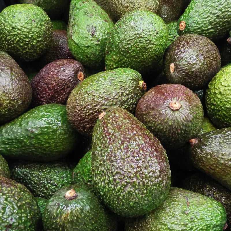 avocado-bio-500g-kriti-greek-flavours