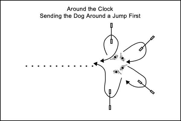 Sending the dog over jumps arranged around the clock