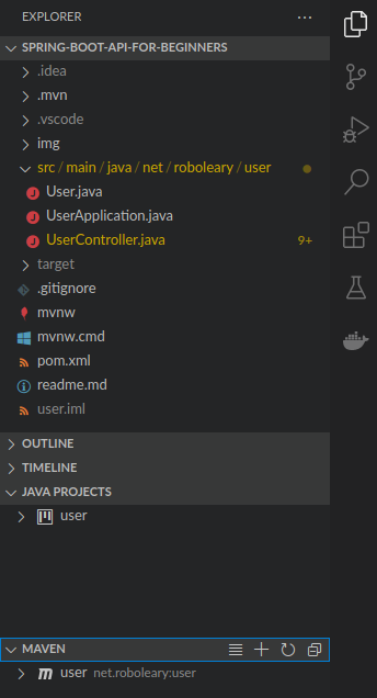java project and maven panels in the explorer view