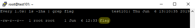 flag file is created on the target server flag file is created on the target server