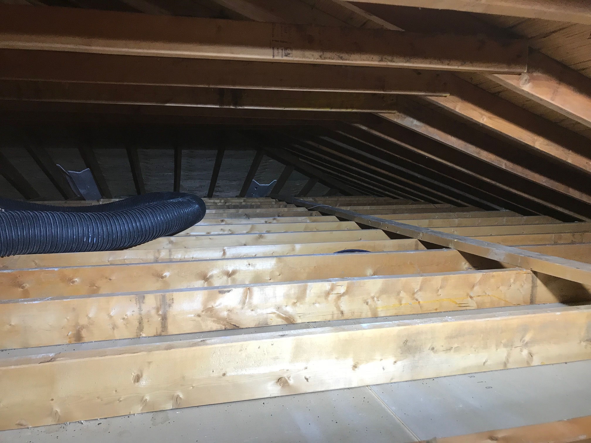 attic-insulation-removal-toronto