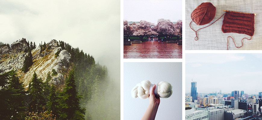 A grid of photos, including a foggy mountain top, cherry blossoms on trees, knitting, a hand holding up wool roving, and Toronto skyline