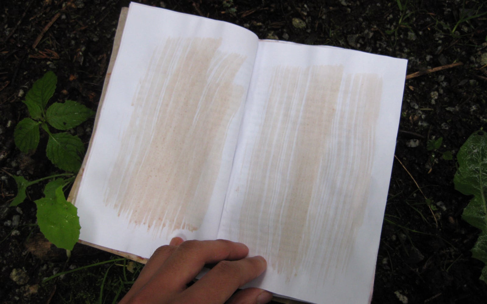 an open book on a wet forest floor. The pages are blank and have been treated with splashes of ink.