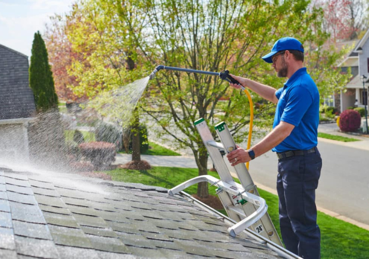 Roof Cleaning