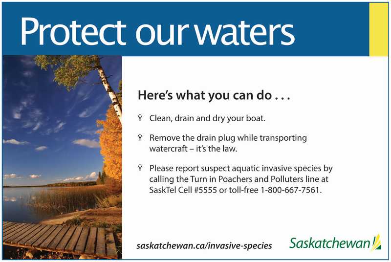 Instructions on how to stop invasive species
