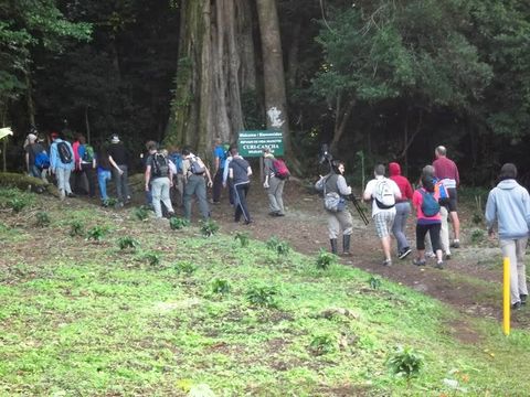 Curi-Cancha Reserve Tour  Monteverde Costa Rica
