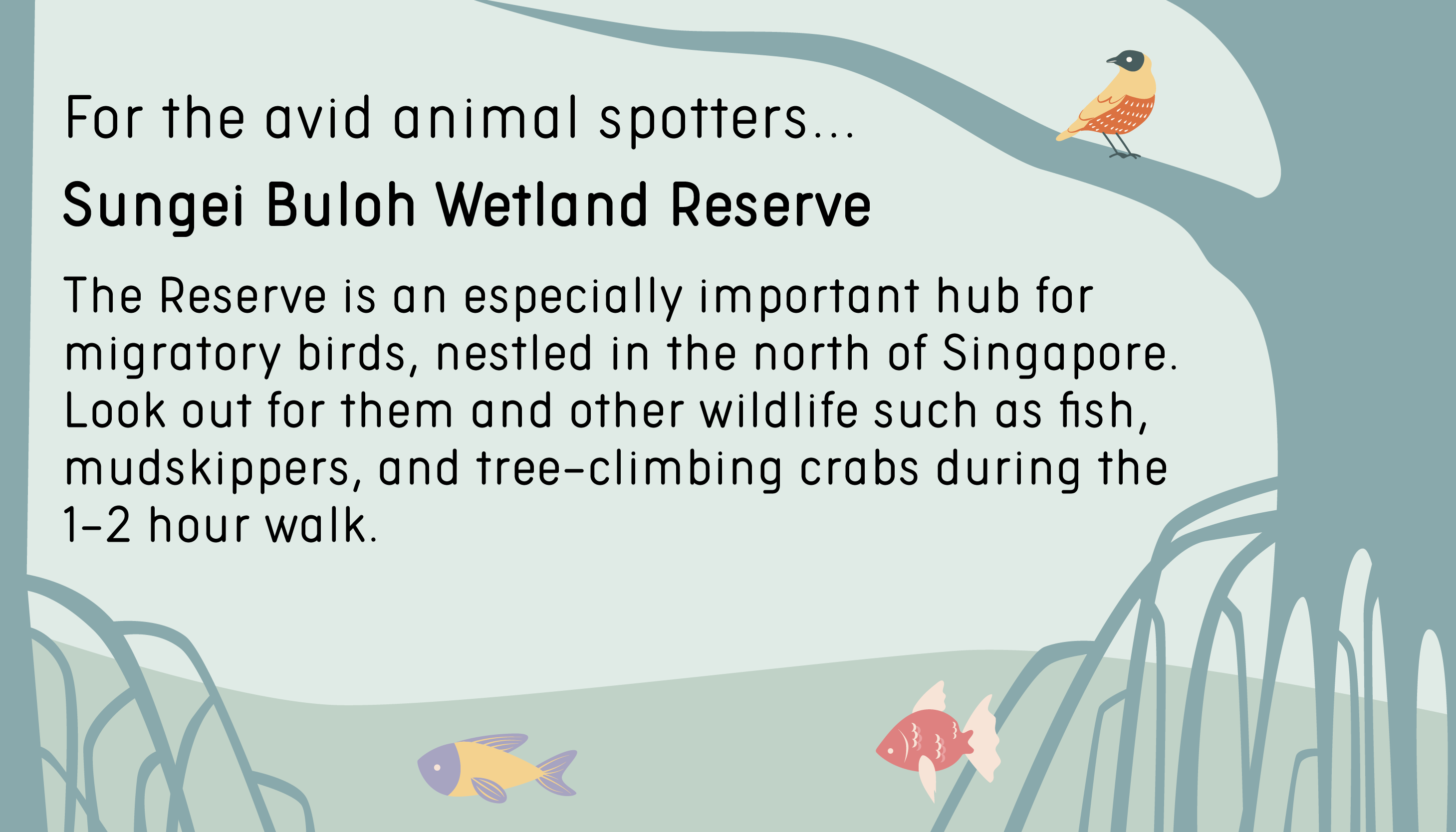For the avid animal spotters… Sungei Buloh Wetland Reserve is an especially important hub for migratory birds, nestled in the north of Singapore. Look out for them and other wildlife such as fish, mudskippers, and tree-climbing crabs during the 1–2-hour walk.