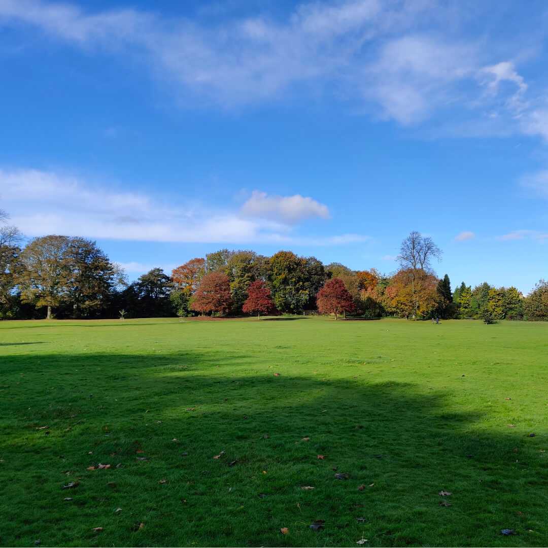 Farnley Hall Park field and sun blue sky