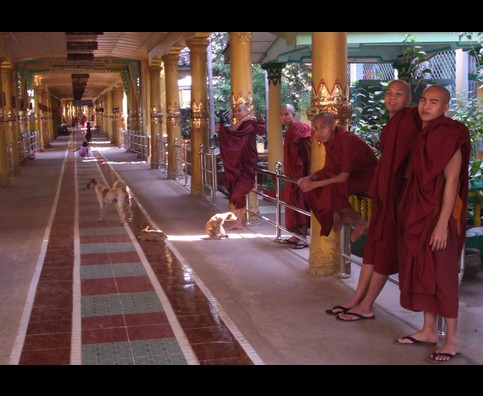 Burma Bago Monks 14