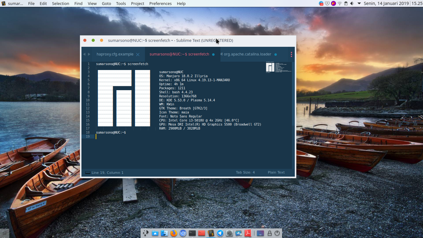 My Current Manjaro Look