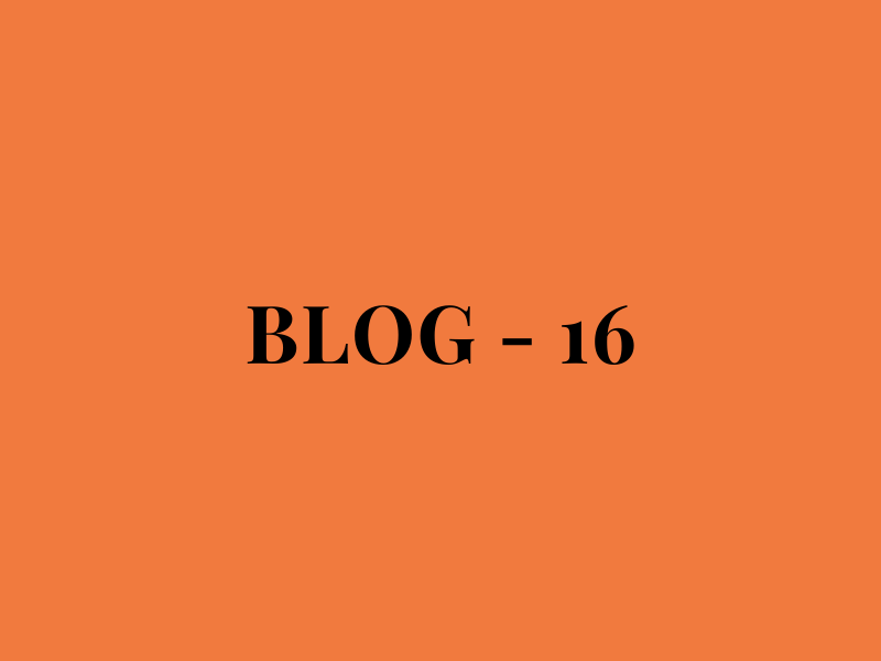 Blog Number 16