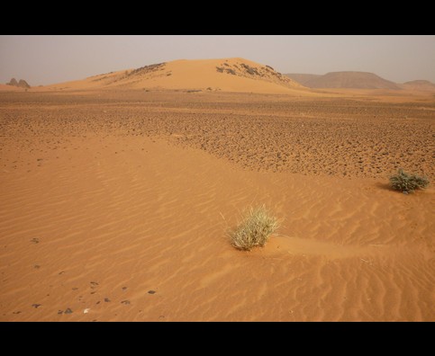 Sudan Desert Walk 18