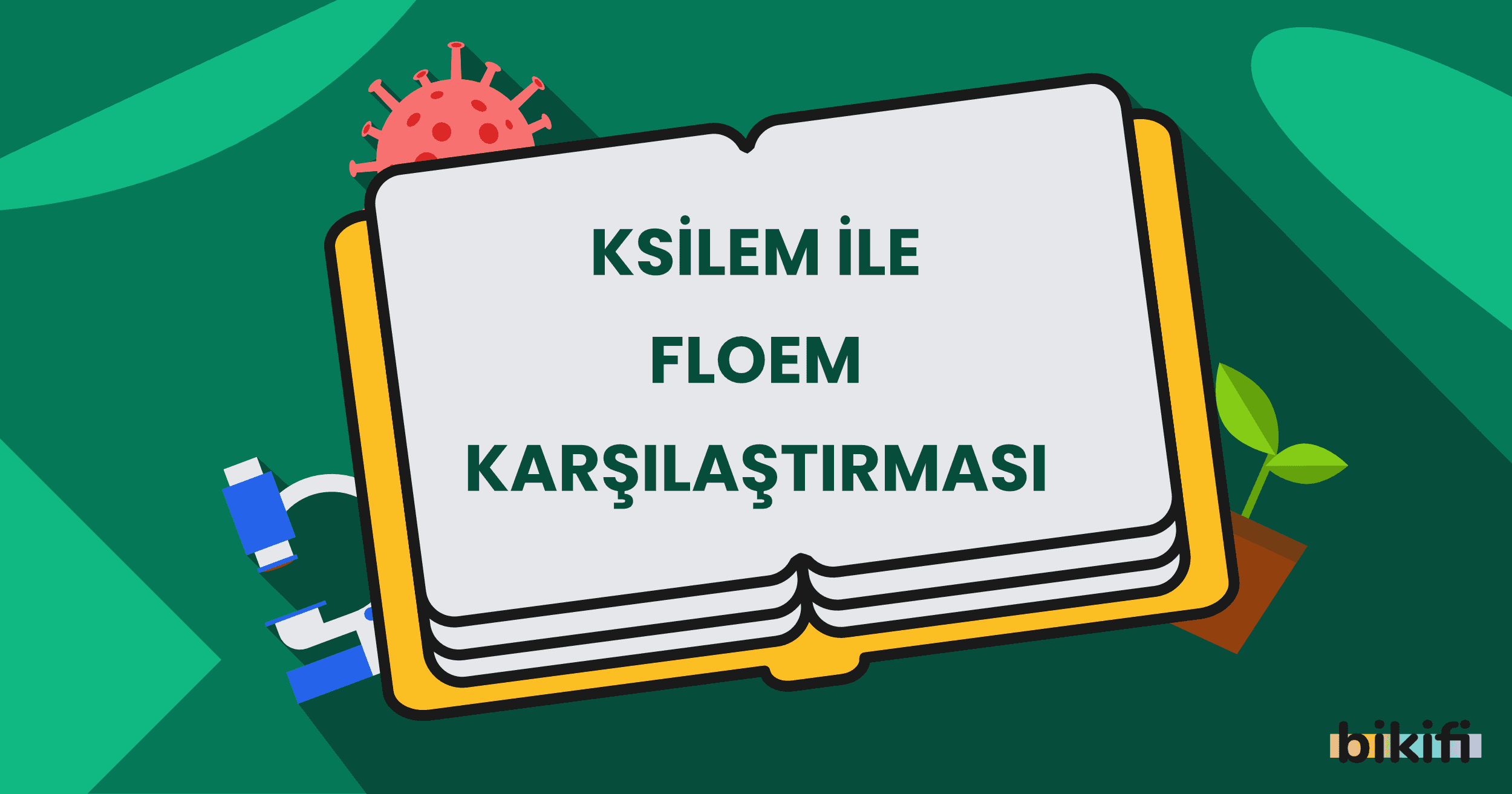 Ksilem ile Floem Karşılaştırması - Biyoloji