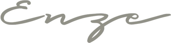Enze logo