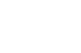 logo-safeway-reverse