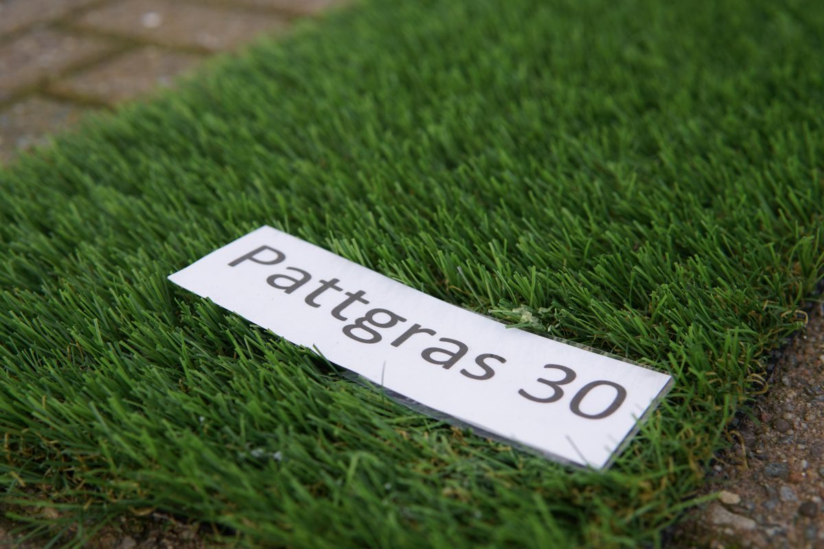 Foto van Pattgras 30