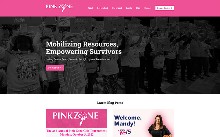 Screenshot of Pennsylvania Pink Zone website