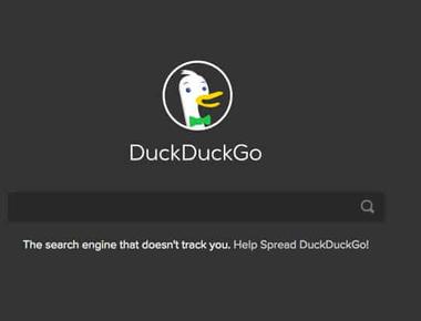 Validation JSON in DuckDuckGo