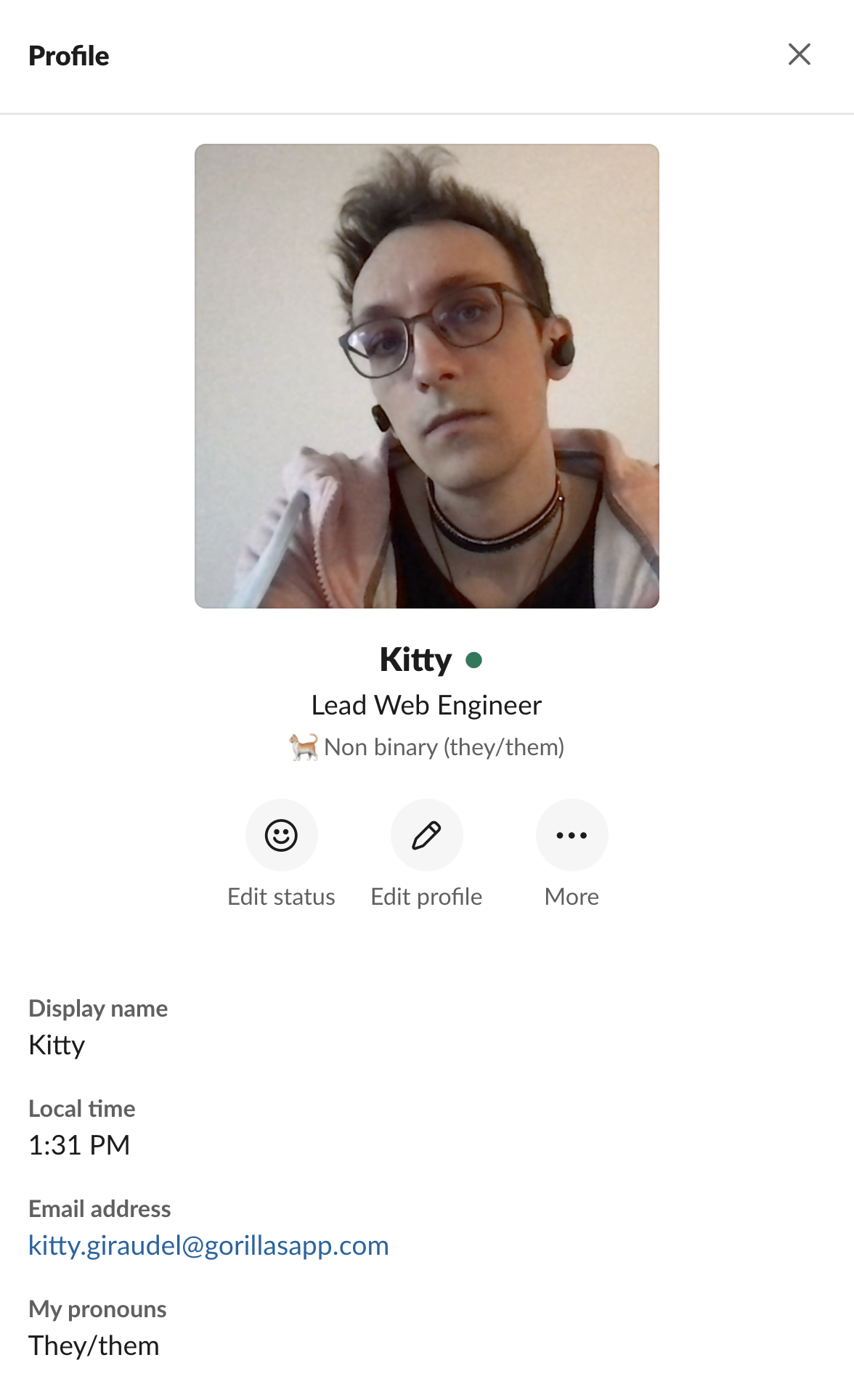 Slack Profile of Kitty, showcasing their picture, their role and their pronouns.