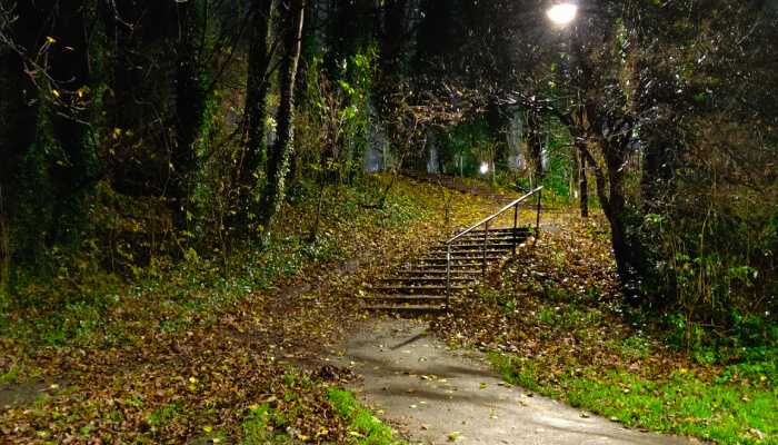 A lit set of stairs in a park at night. There are lots of fallen leaves on the floor.