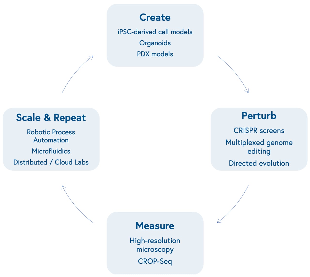 Info graphic displaying the cycle of Create, Perturb, Measure, and Scale & Repeat