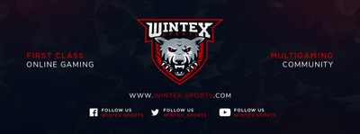 IRON-Esports ist im Wintex-Cup Finale