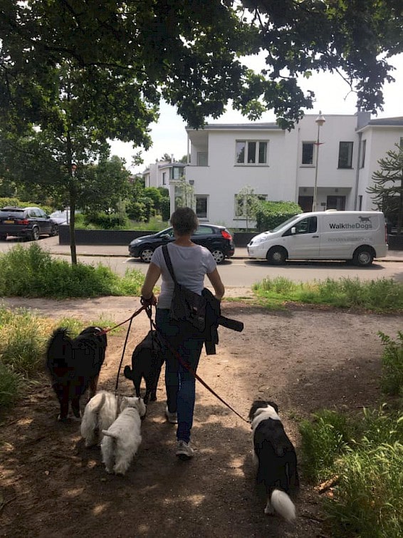 Linda De honden gaan na afloop met de bus terug naar huis.
