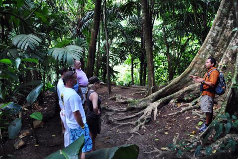 Arenal Volcano Guided Walk - Arenal Costa Rica Tours