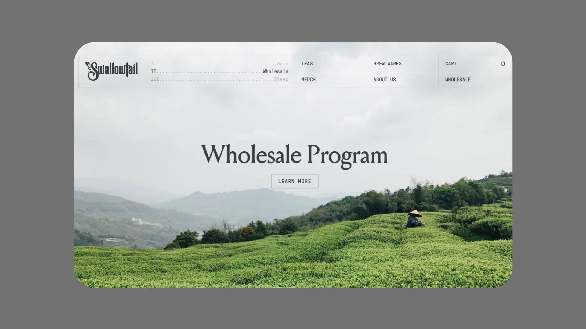 Swallowtail Tea Website Design Inspiration