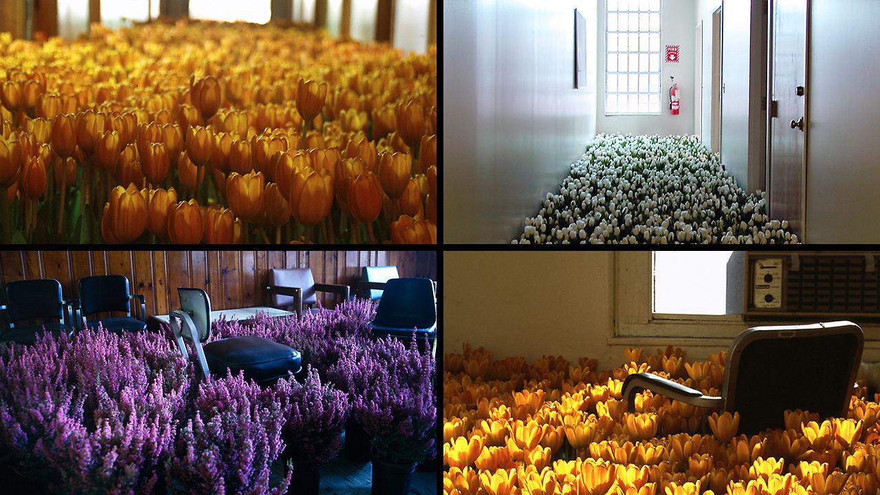 a four-grid shot of various rooms and hallways, spilling over with flowers.