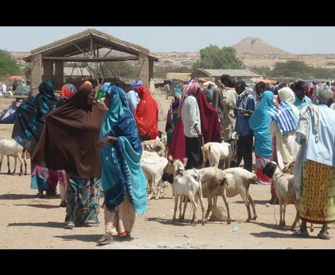 Somalia Animal Market 13