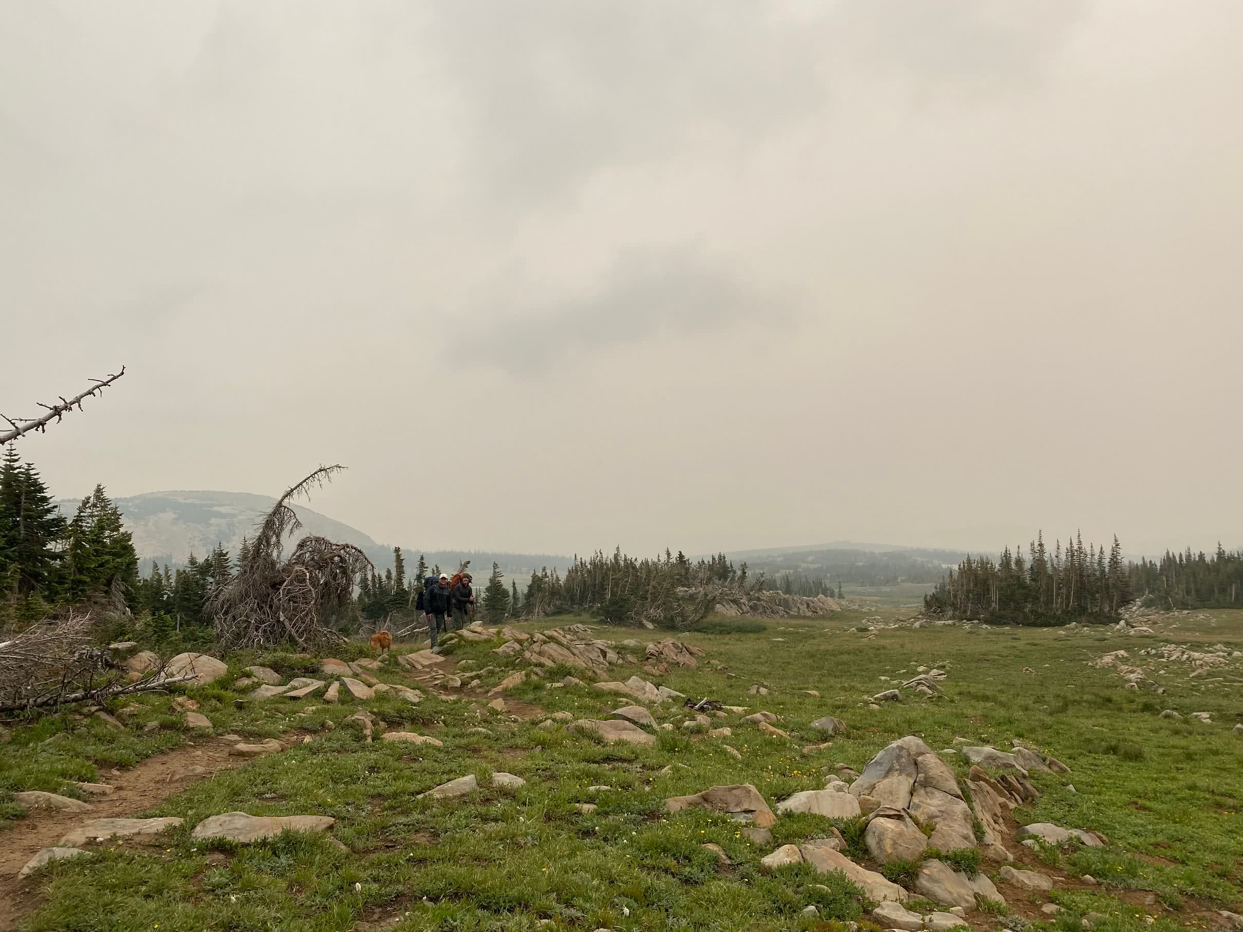 Smoky, foggy views Saturday morning