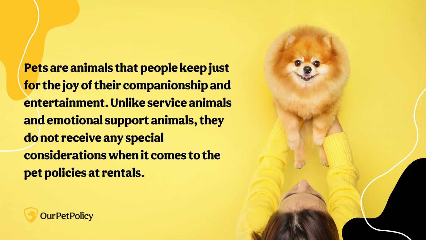Pets are animals that people keep for joy of their companionship and entertainment