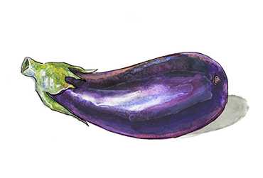 Illustration of an Eggplant