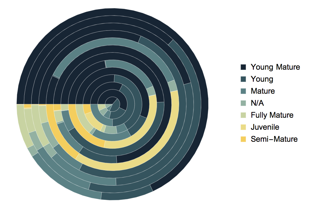 surround vs age 2