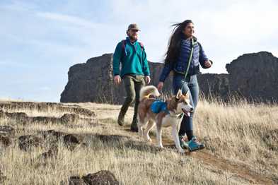 10 Must-Haves for Hiking with Your Dog