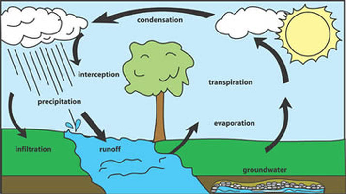 Figure 1: Components of the Water Cycle