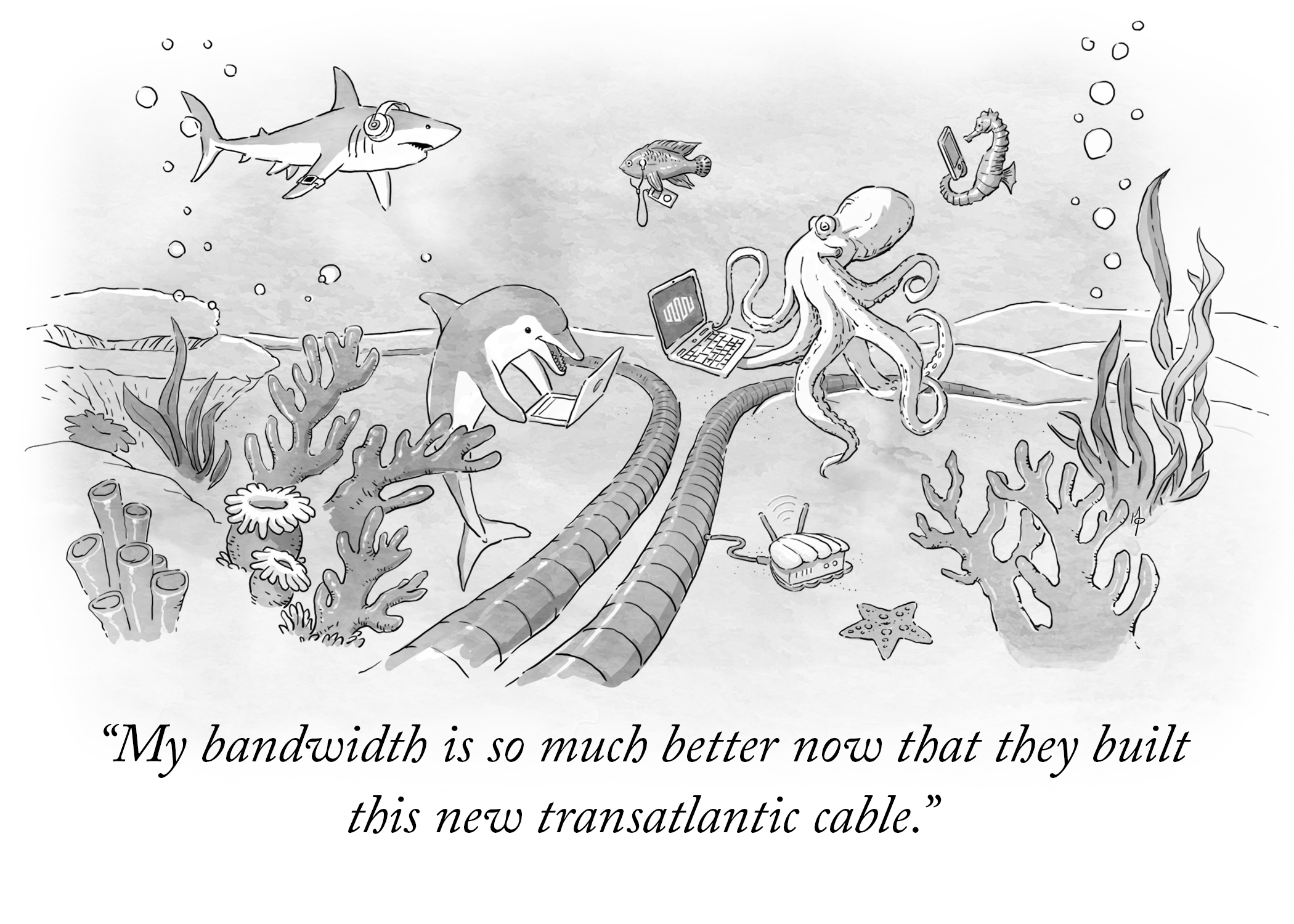 New Yorker style illustration of an underwater scene. Marine life is gathered around a Transatlantic cable with their Laptops and other digital devices. The caption reads: My bandwidth is so much better now that they built this new transatlantic cable